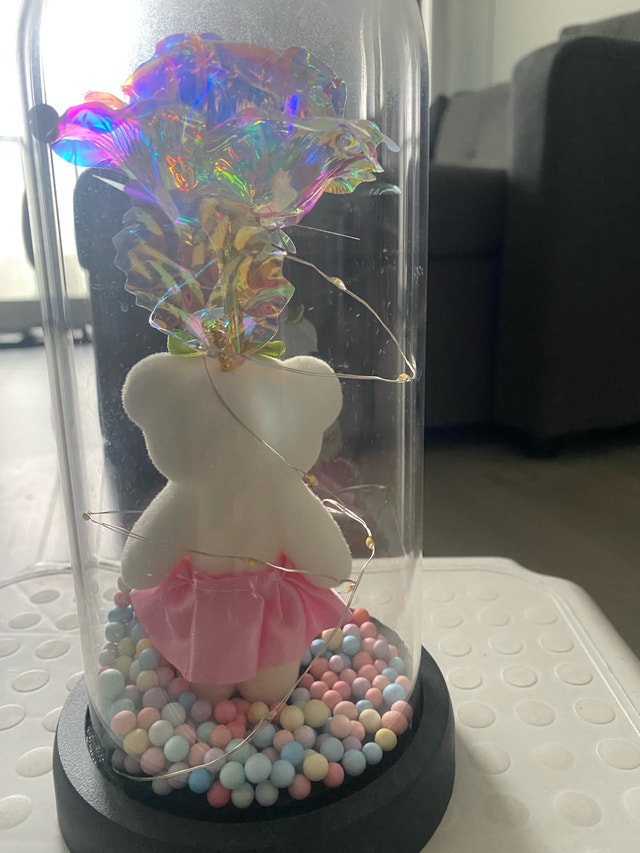 Galaxy Rose in Glass Dome - photo 4
