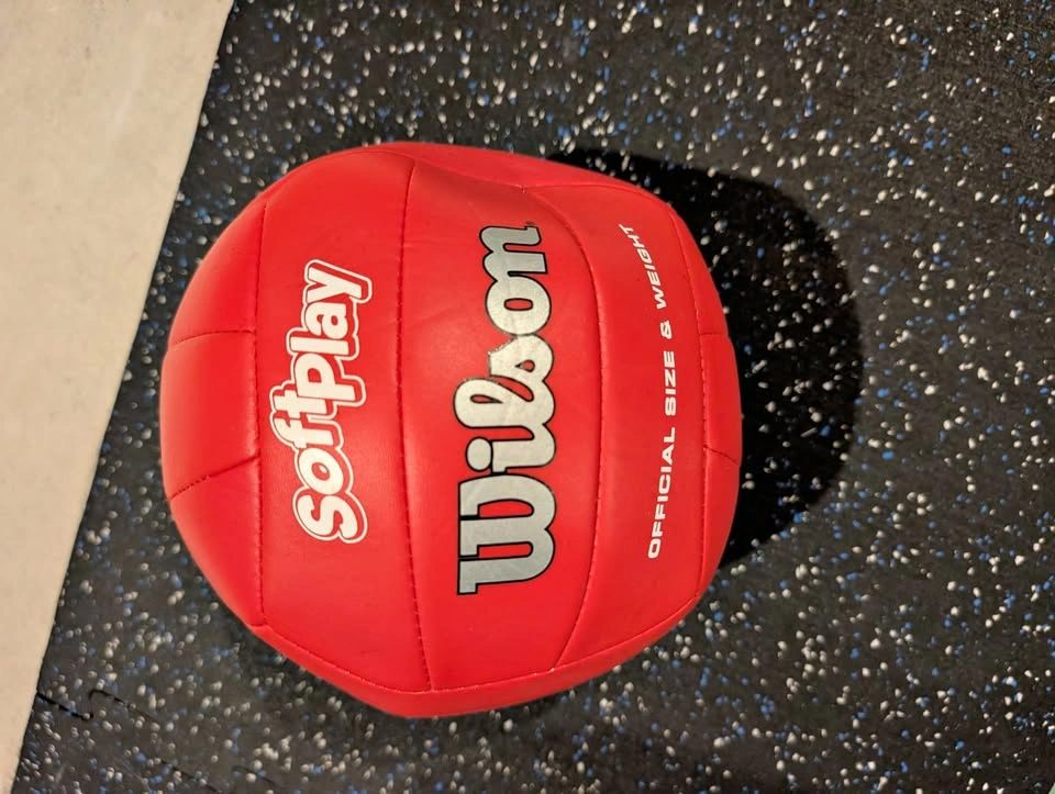 Wilson Volleyball