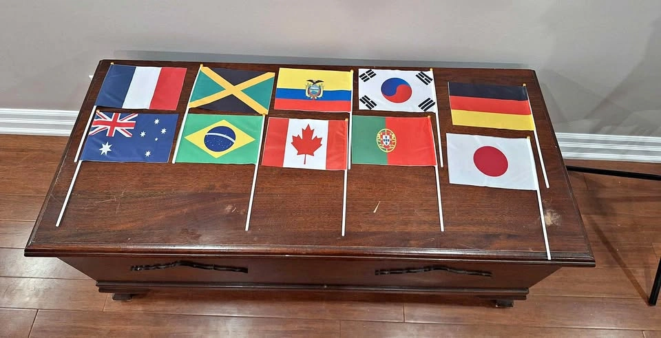 Fifa world cup Custom Worldwide Flags - Any Country or Event