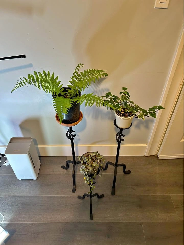 Metallic plant stand for indoor or outdoor