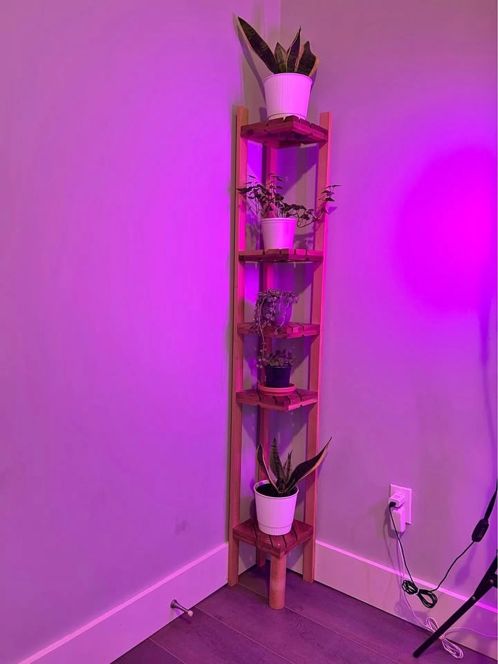Wooden corner plant stands