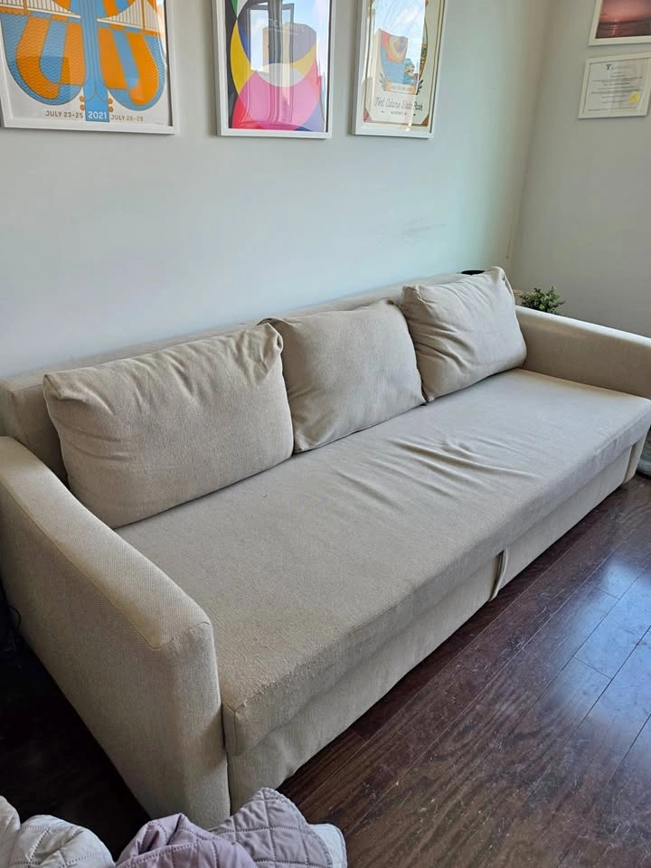 Ikea Friheten Sofa Bed - $250