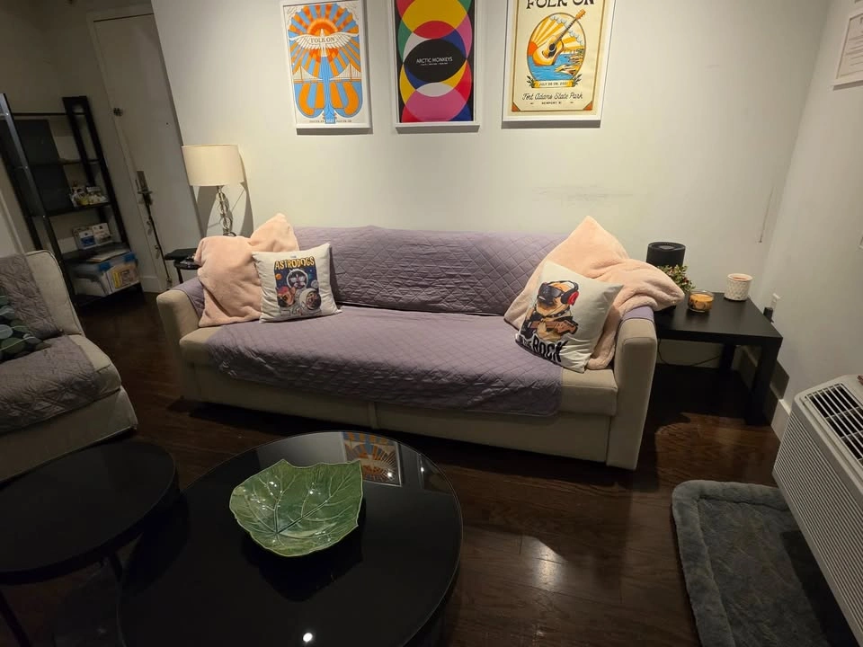 Ikea Friheten Sofa Bed - $250 - photo 2