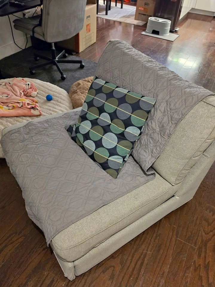 Ikea Kivik Sleeper Sofa - $350
