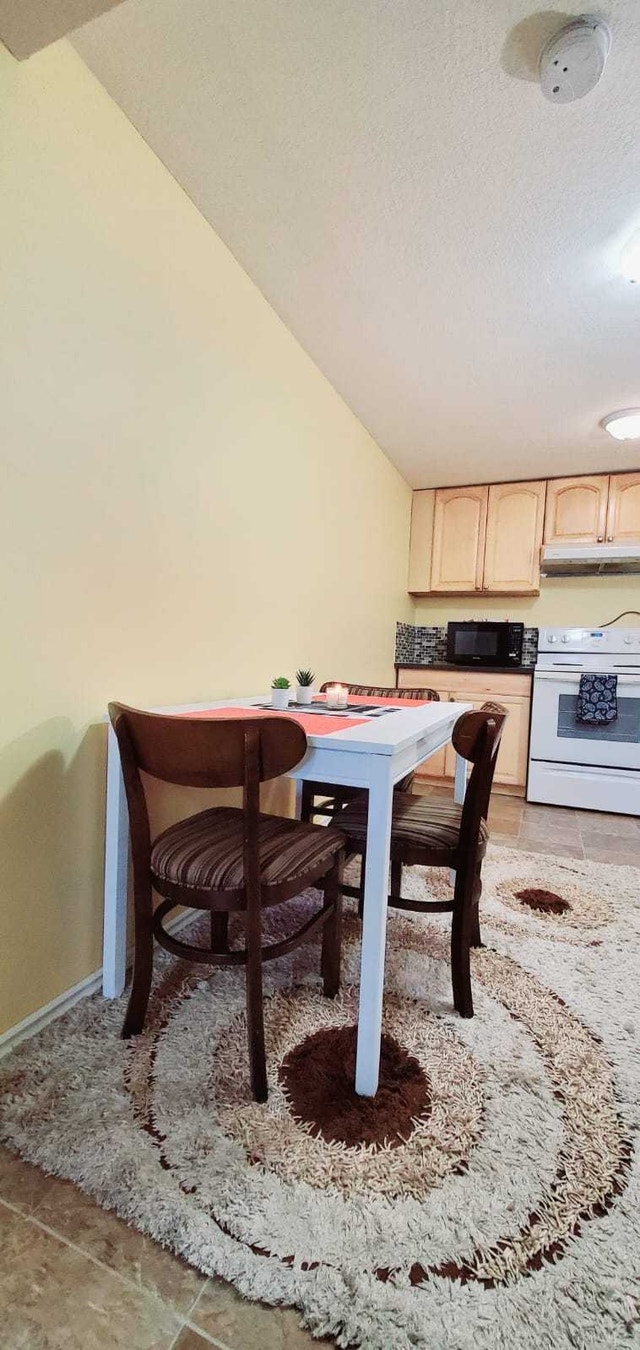 Bi-level Basement for Rent in Falconridge NE - photo 3