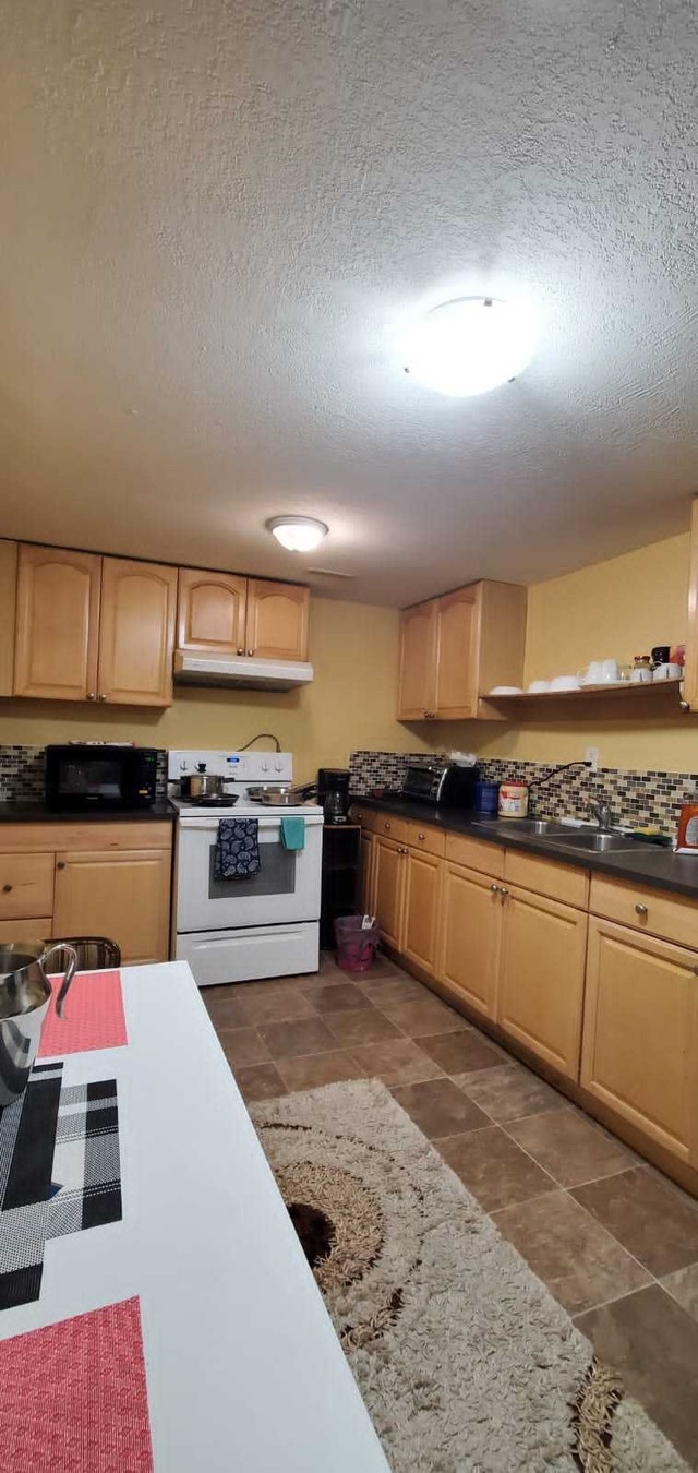 Bi-level Basement for Rent in Falconridge NE - photo 4