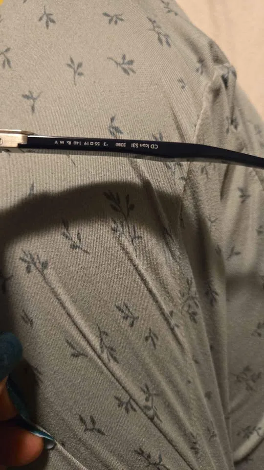 DIOR SUNGLASSES image indicator(4)