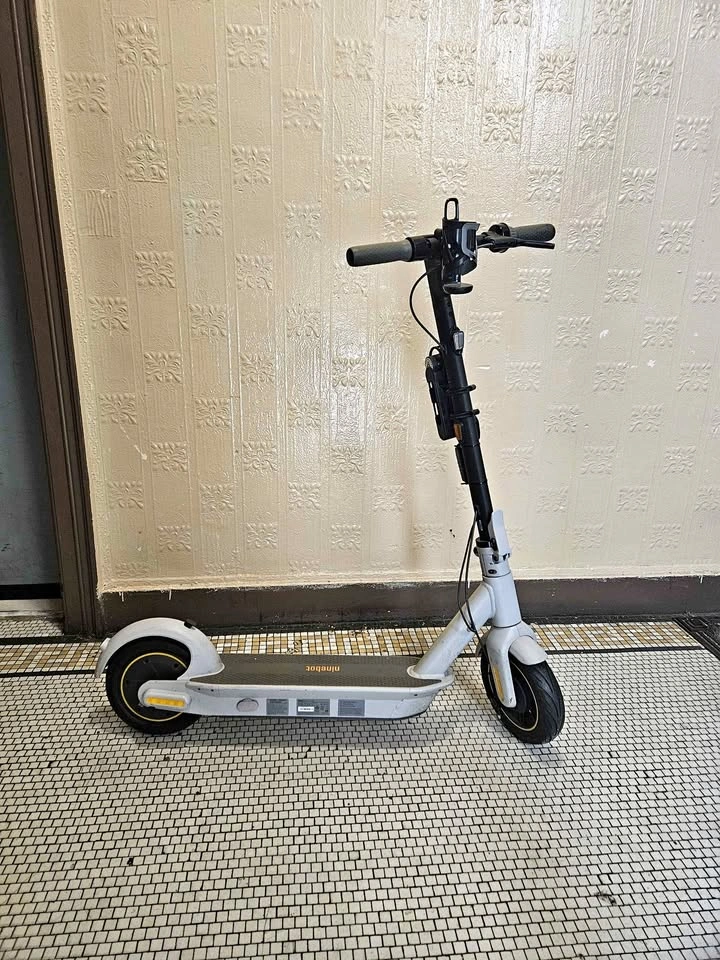 Segway Ninebot G30LP