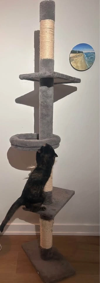 Cat tower - photo 2