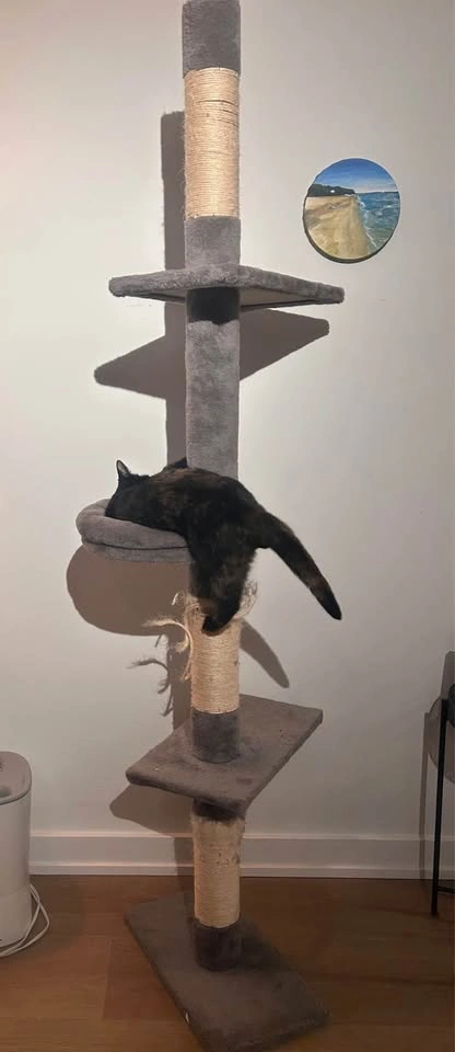 Cat tower - photo 3