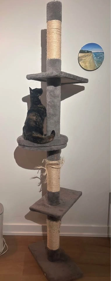Cat tower - photo 4