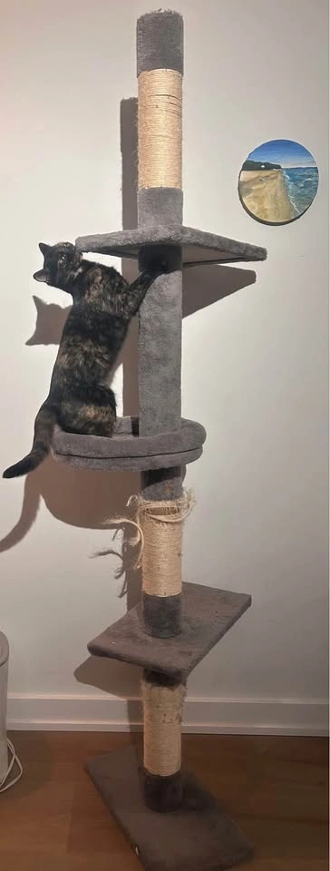 Cat tower - photo 5