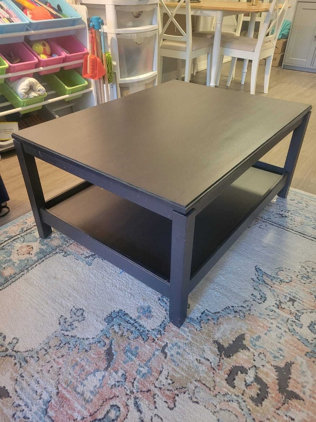 IKEA HAVSTA Coffee table, black, 100x75 cm