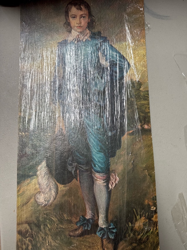 Gainsboro Blue Boy Print