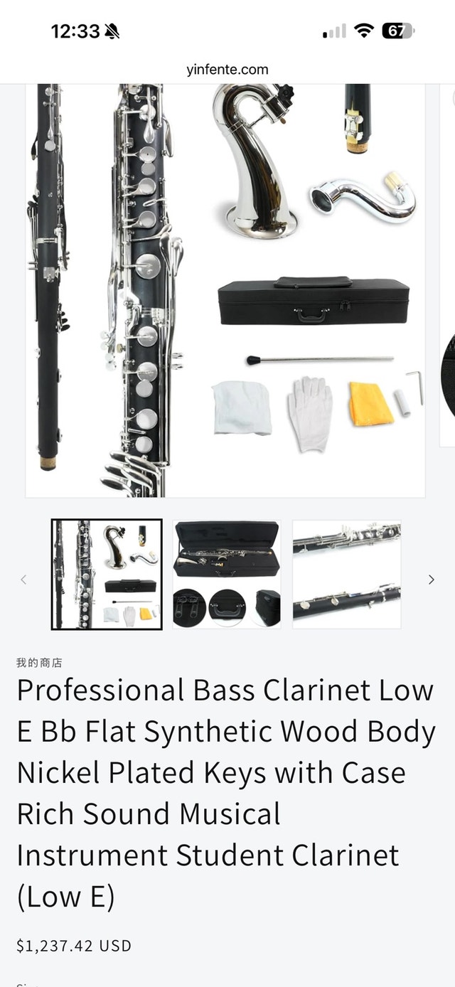 Professional Bass Clarinet