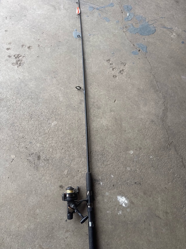 Shimano FX200 Fishing Rod - photo 3