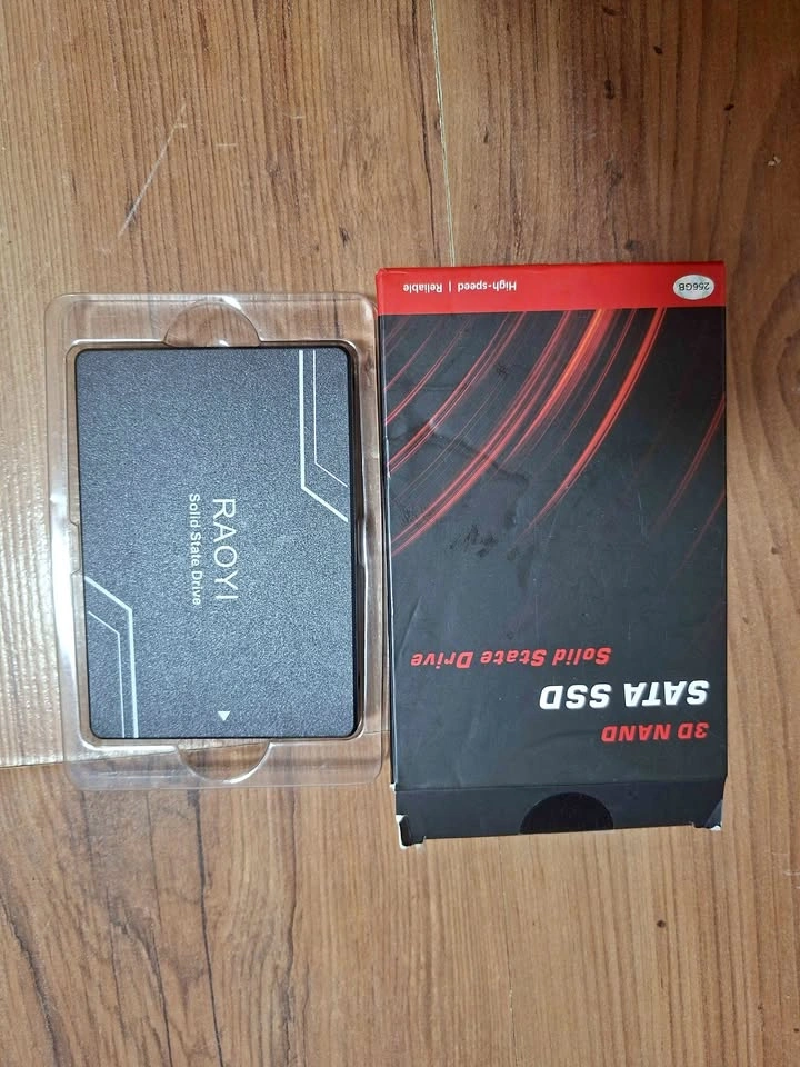 RAOYI 256GB SATA III Internal Solid State Drive