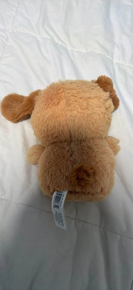 EUC Cute Brown Dog Plushy - photo 2