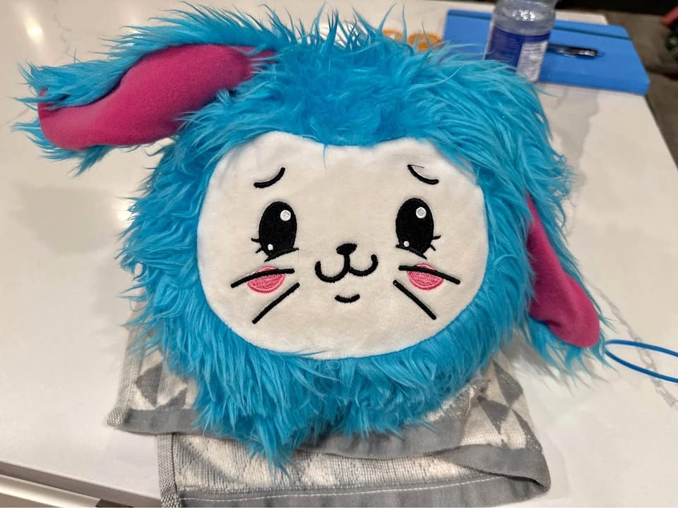 EUC Cute Blueberry Scented Bunny Blue Stuffie