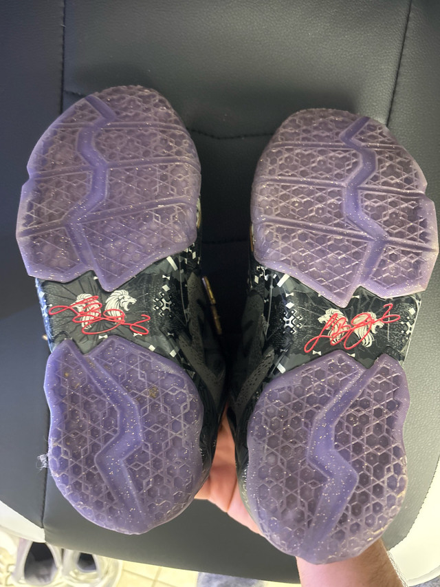 NIKE LEBRON XI 11 2014 SIZE 5.5Y BHM - photo 4