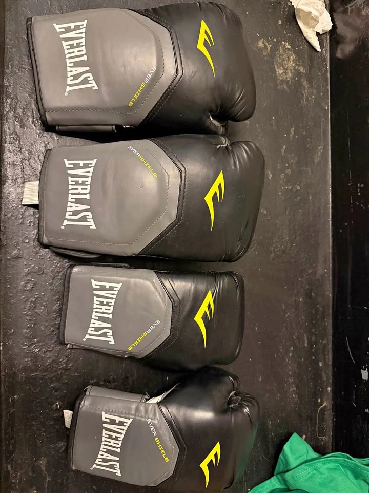 Everlast Boxing Glove Set