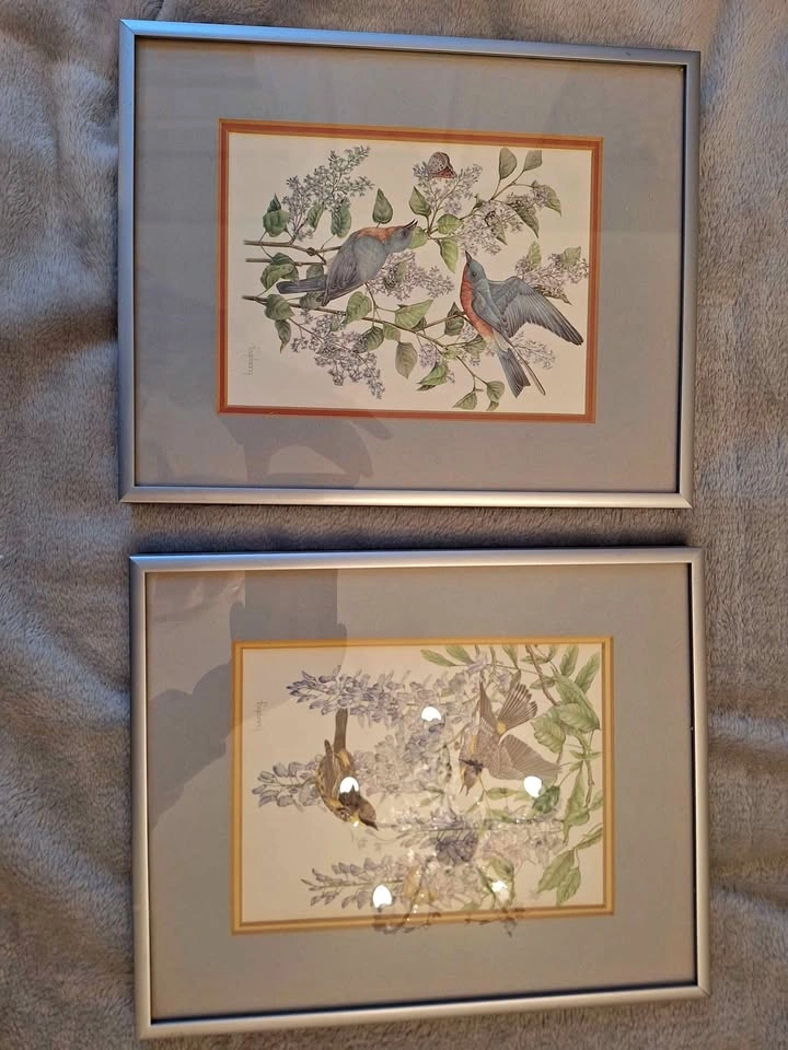 Bird litografii, print