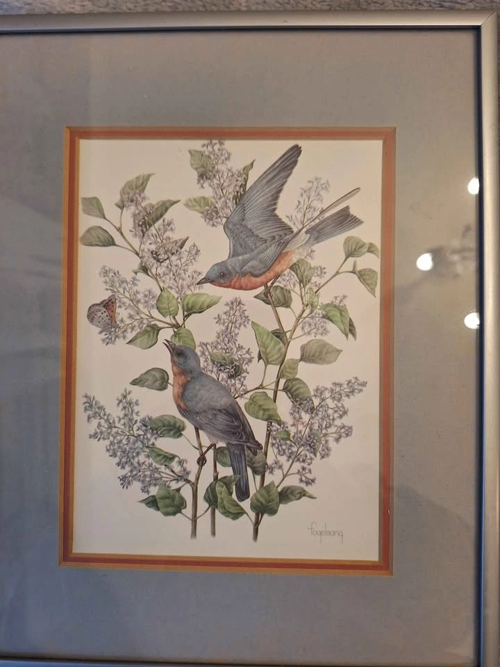 Bird litografii, print - photo 3
