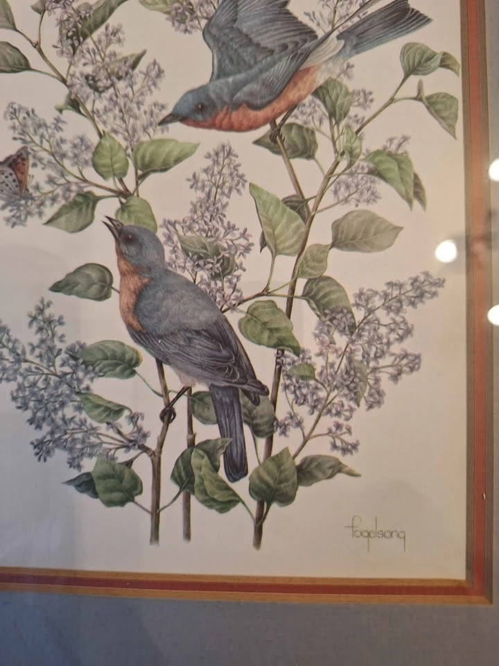 Bird litografii, print - photo 4