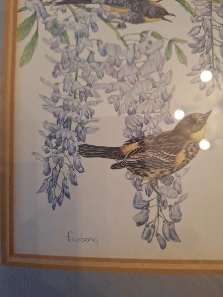 Bird litografii, print - photo 5