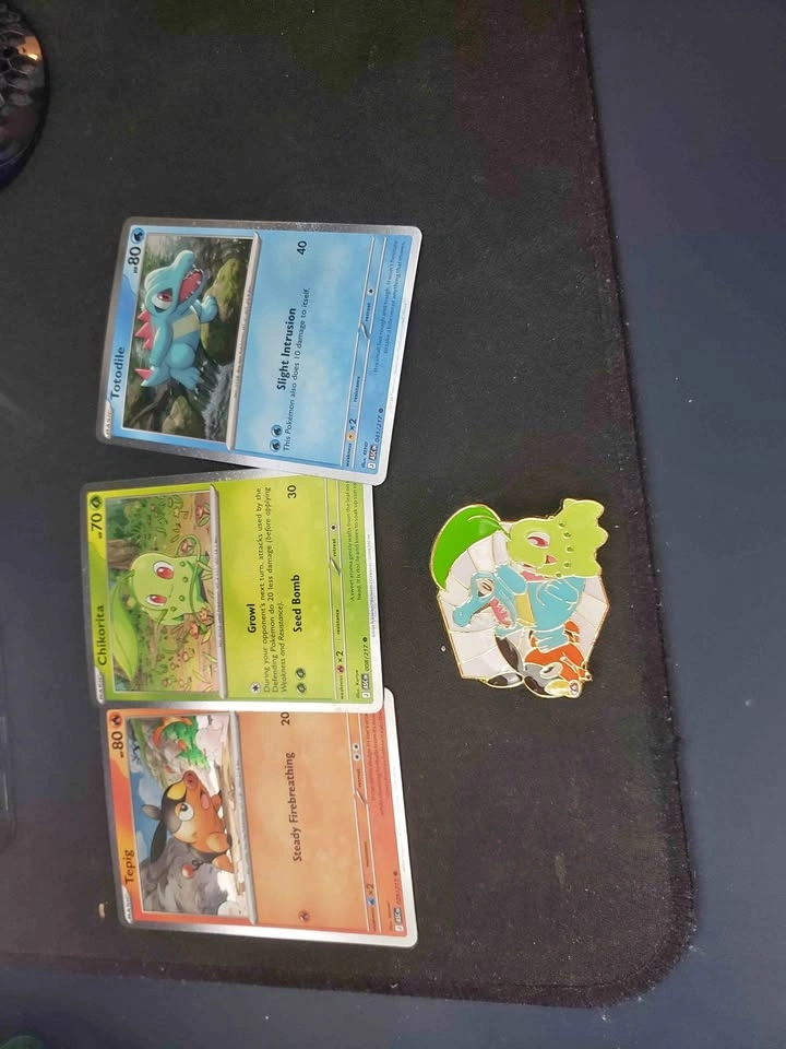 Pokemon Ascended Heroes Pin Collection Promo and Pin