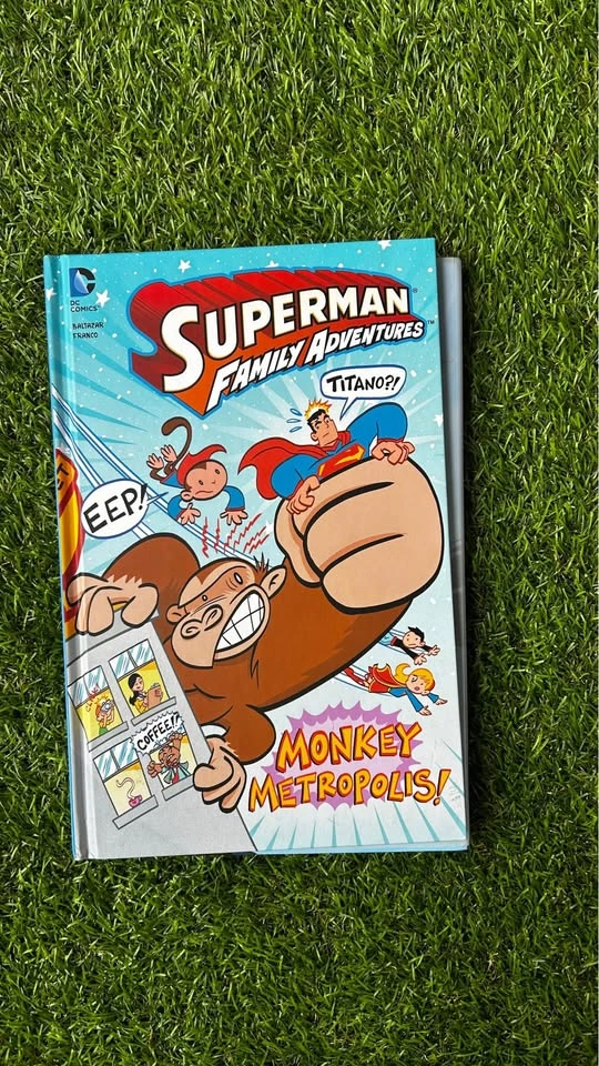 DC Hardcover Comics - photo 4