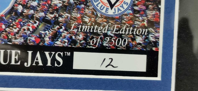 Toronto Blue Jays Rogers Centre Limited Edition Framed Photo - photo 3
