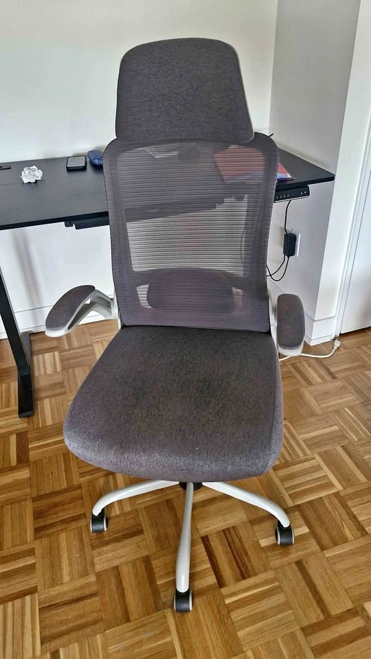 Mimoglad Ergonomic Desk Chair