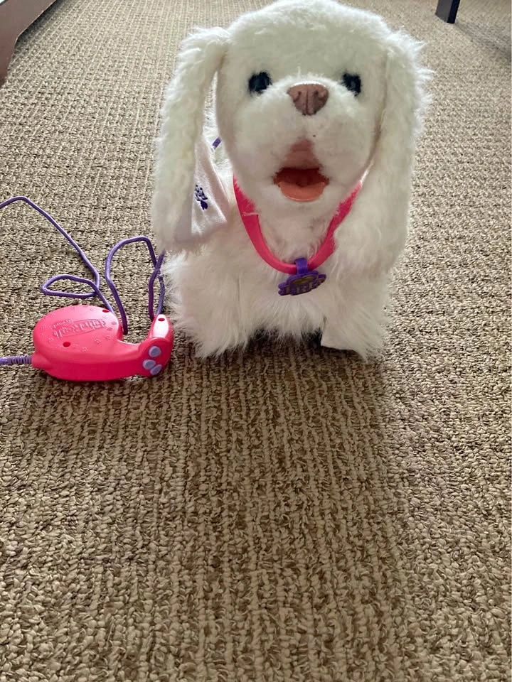 Toy puppy