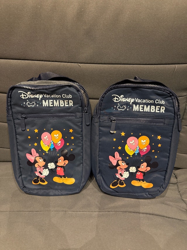 Disney Vacation Club Bag (NEW)