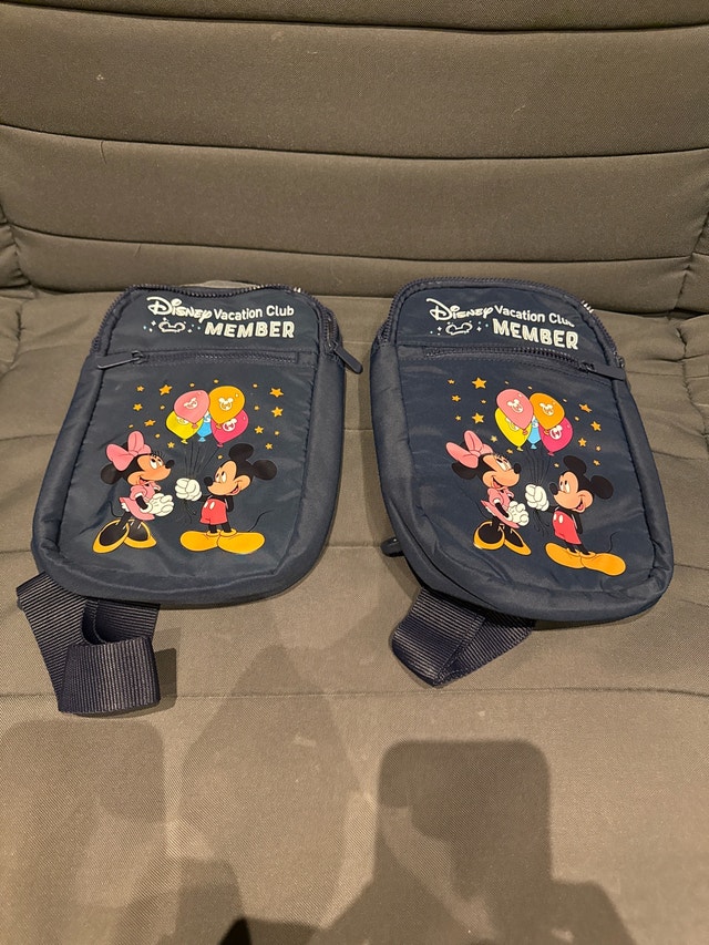 Disney Vacation Club Bag (NEW) - photo 3
