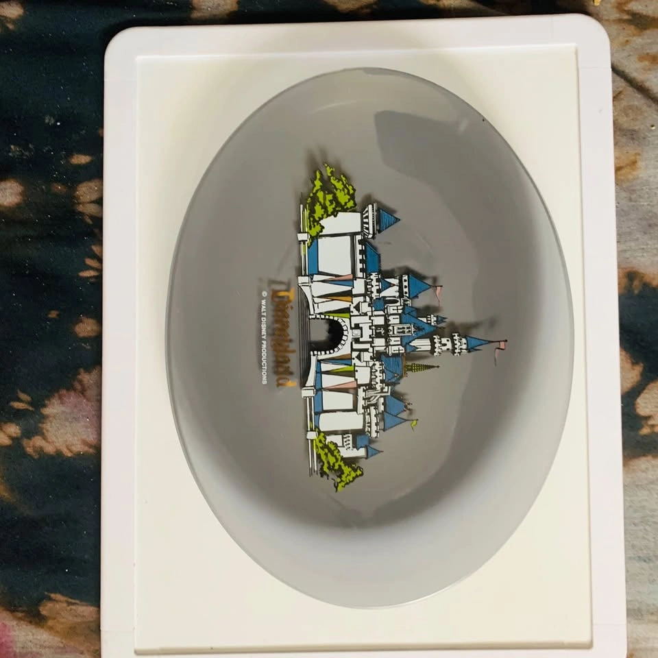 Vintage Disneyland Plate - photo 2