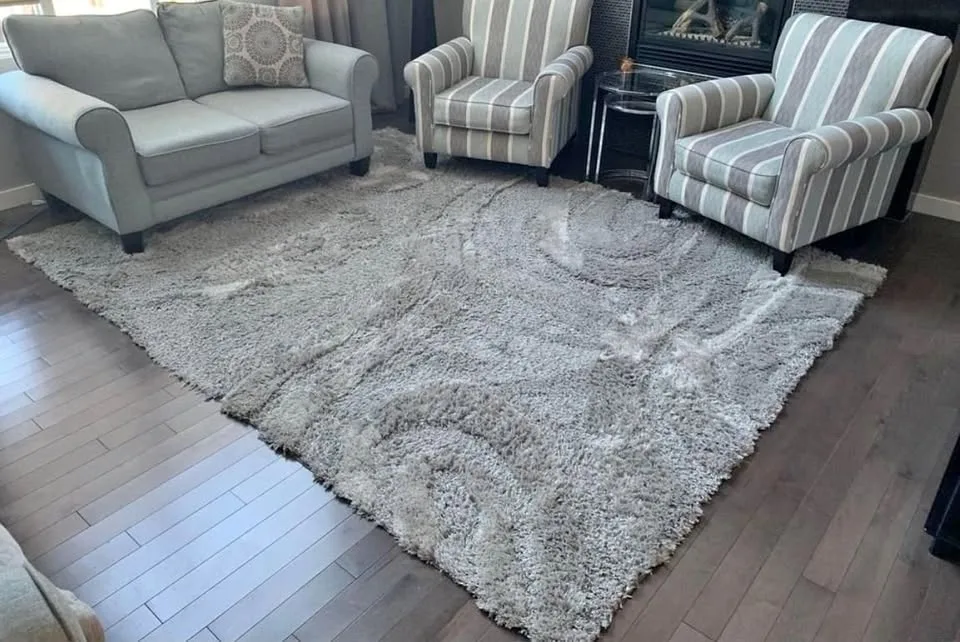 BEAUTIFUL GREY AREA RUG