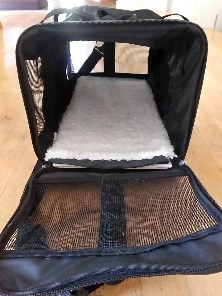 SOFT CAT/DOG TRAVEL CARRIER