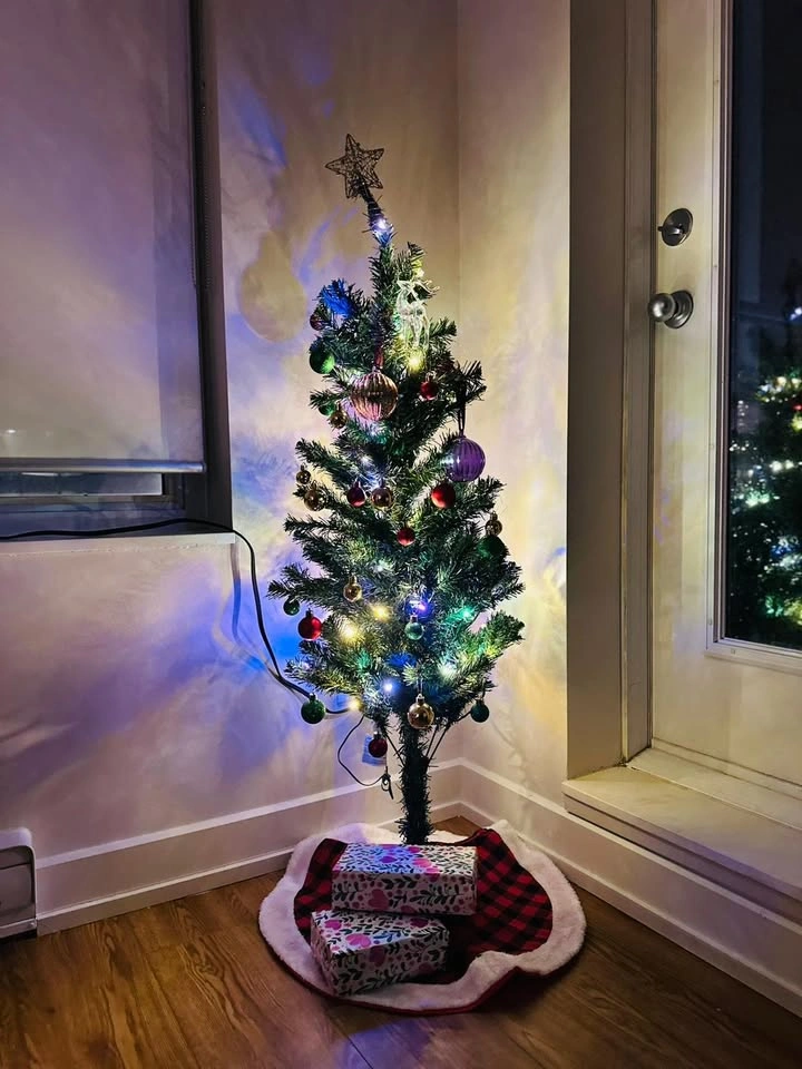 4ft Pre-Lit Christmas Tree + Ornaments & Skirt - photo 2