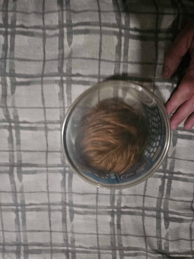 Star Trek Tribble - photo 2
