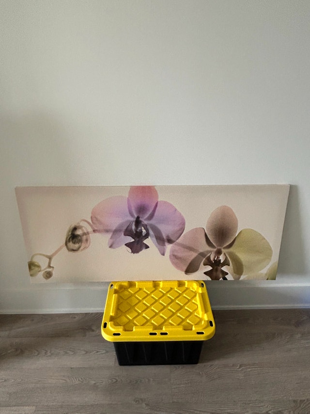 IKEA PJÄTTERYD Flower Print Canvas (140x56cm)