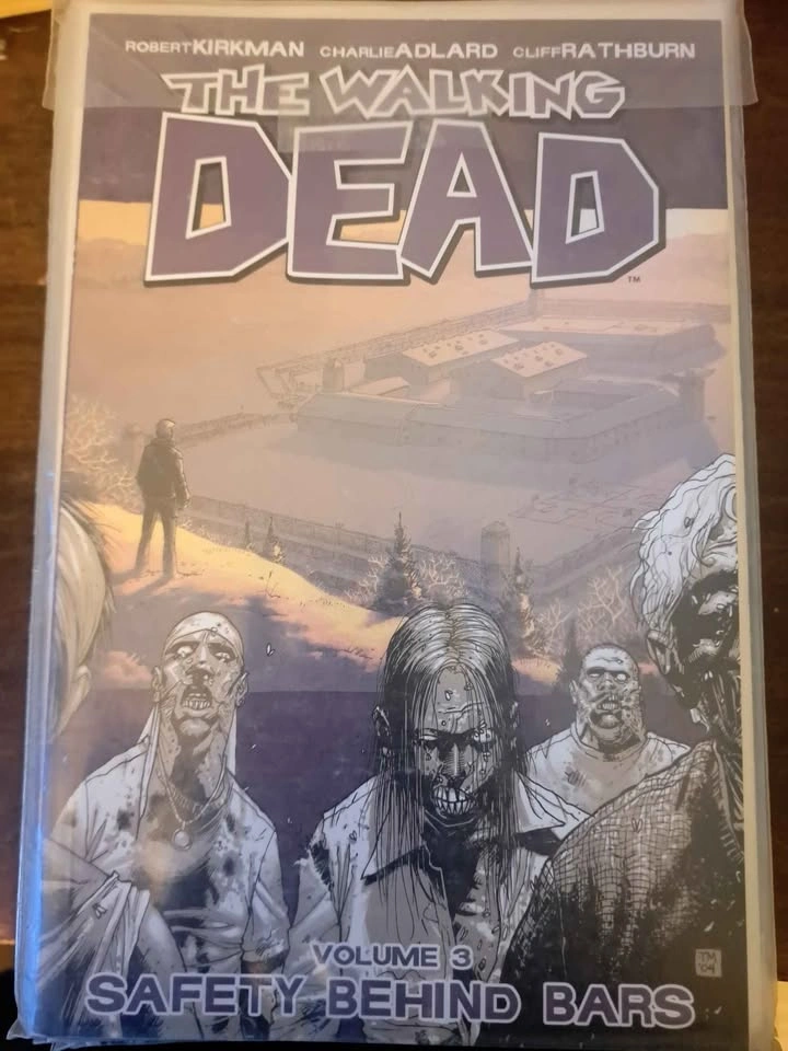Walking Dead Graphic Novels #1-10 - photo 3