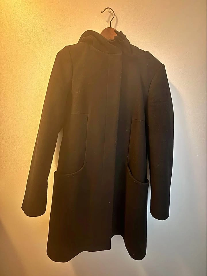 Babaton Aritzia Virgin Wool Cashmere Coat