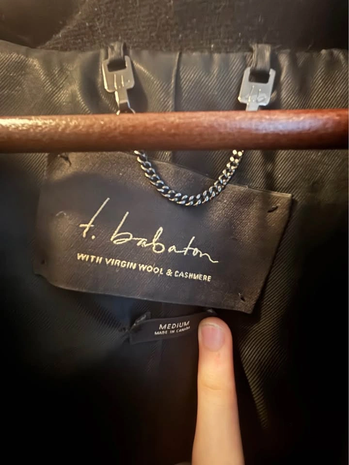 Babaton Aritzia Virgin Wool Cashmere Coat - photo 3
