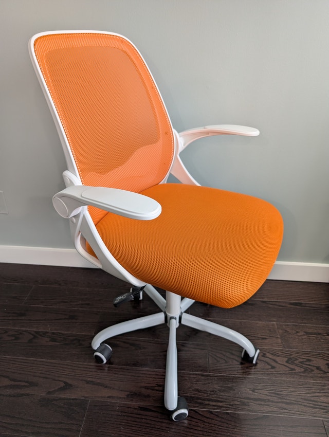 Kerdom Ergonomic Adjustable Office Chair