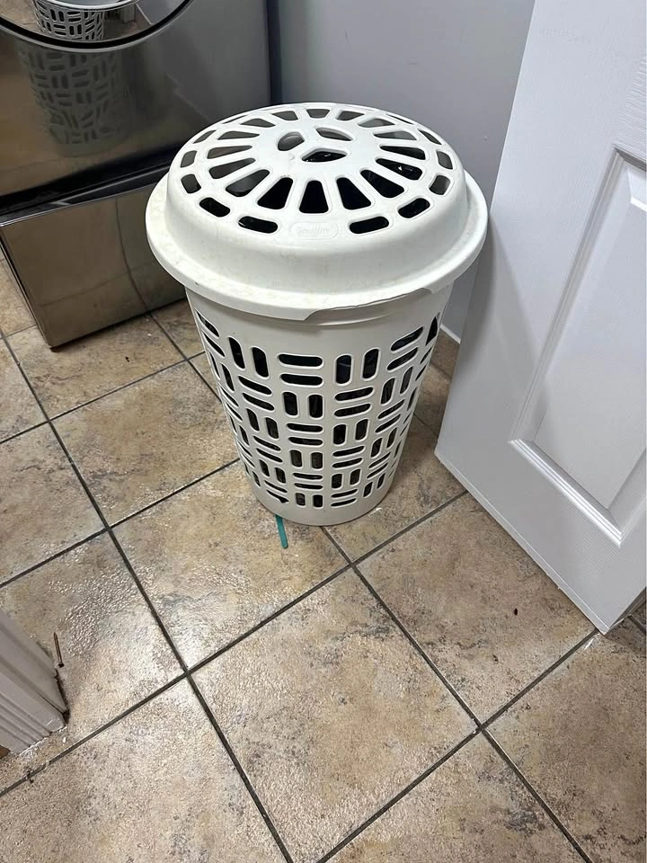 Sterilite White Plastic Laundry Hamper with Lid