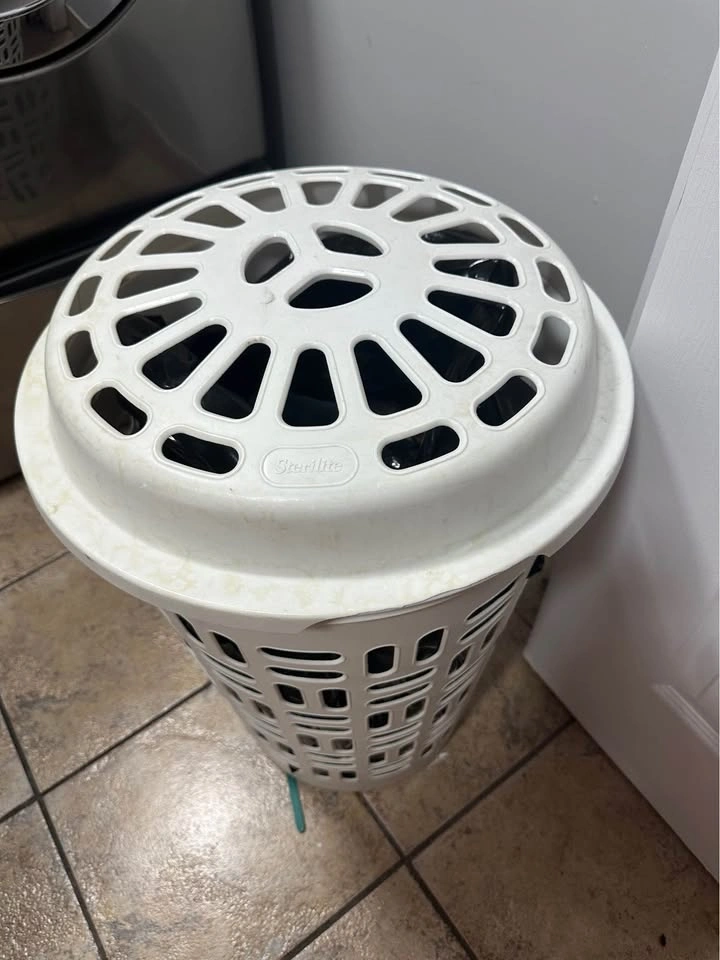 Sterilite White Plastic Laundry Hamper with Lid - photo 2