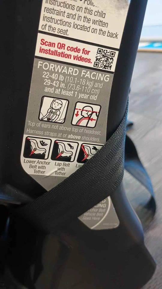 Cosco Convertible Car Seat - photo 4