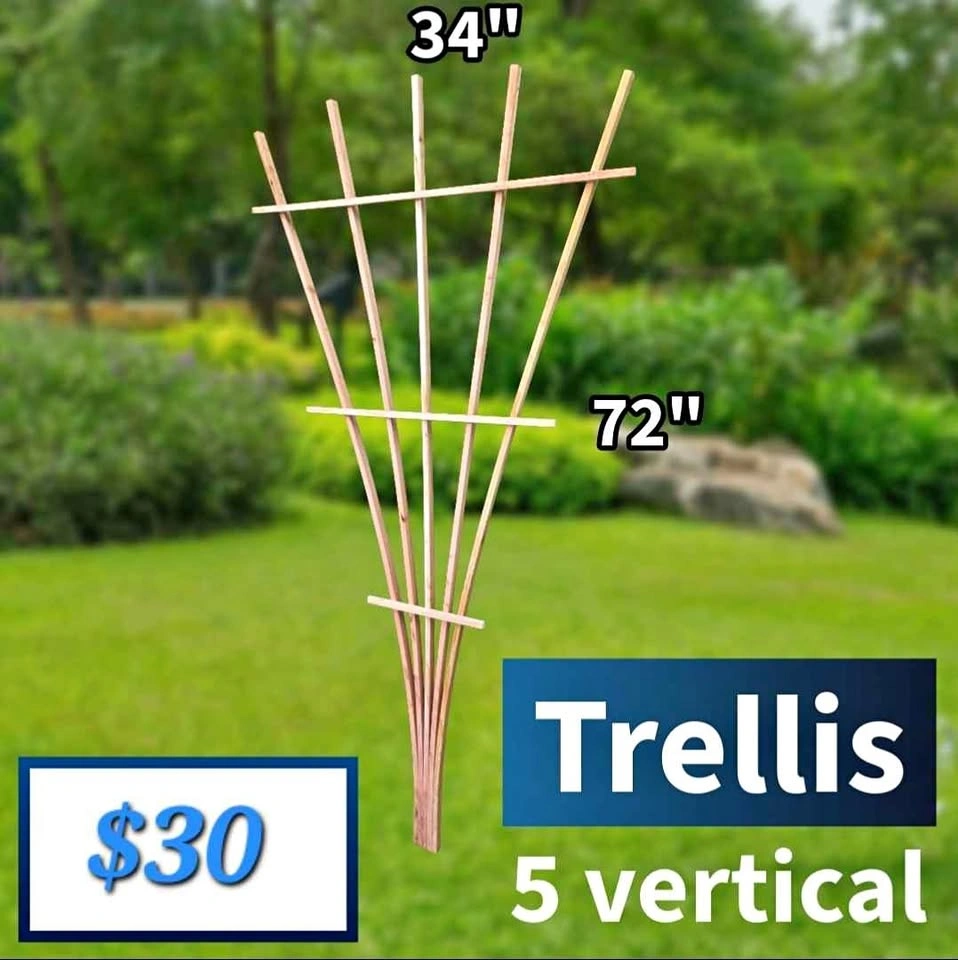 Handcrafted Cedar Garden Trellis